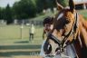Palio 16 agosto 2019: la fotogallery della seconda giornata di Previsite